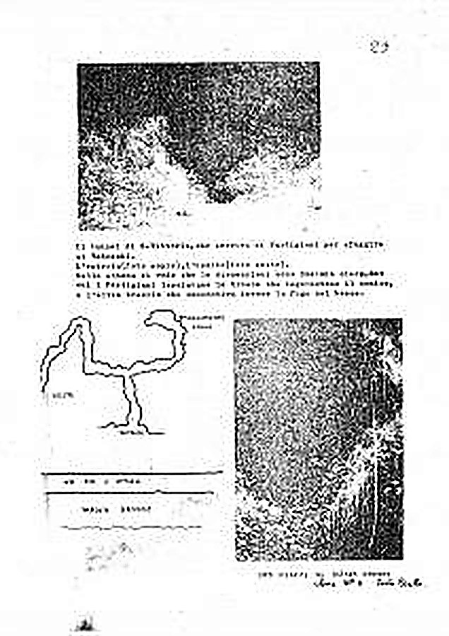 Fasc. n. 32 – Doc. n. 3, p. 30.